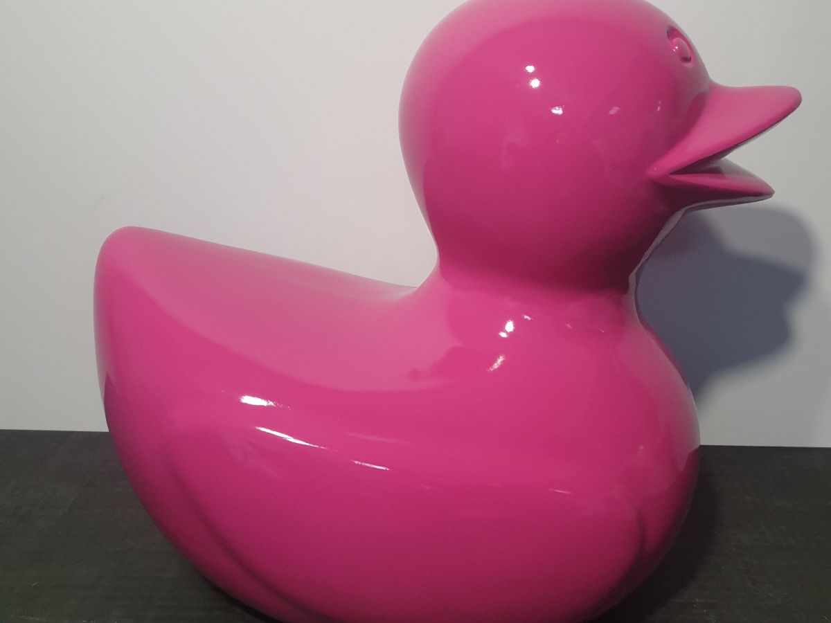 canard40rose.jpg