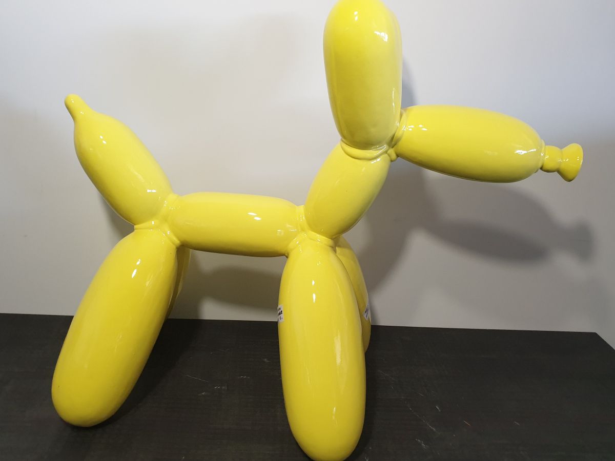 chienkoons55jaune.jpg