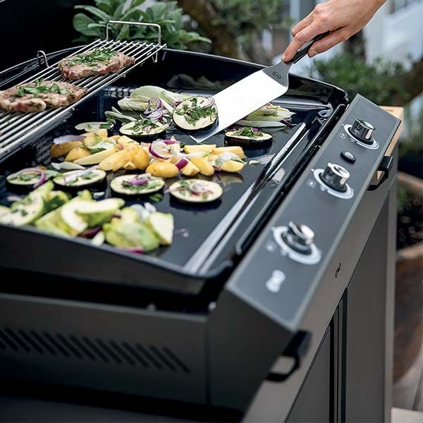 quelle-plancha-pour-ma-cuisine-plancha.jpg