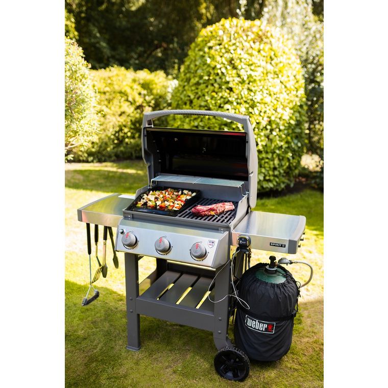 weber_spirit2_e_310_gbs2.jpg